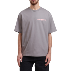 CK SS 16S CALVIN KLEIN TFS GRAY